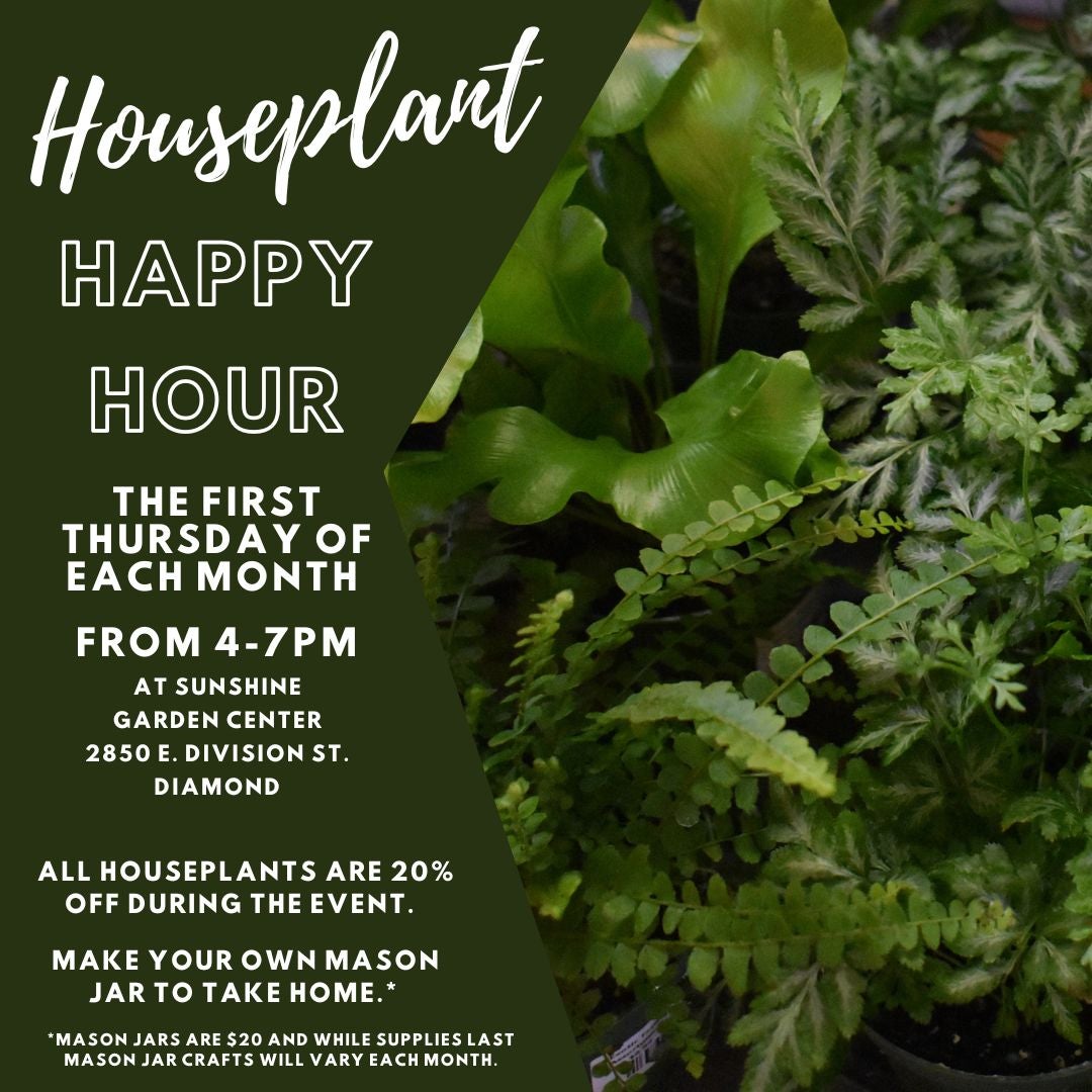 Sunshine Garden Center Greenville Nc Fasci Garden